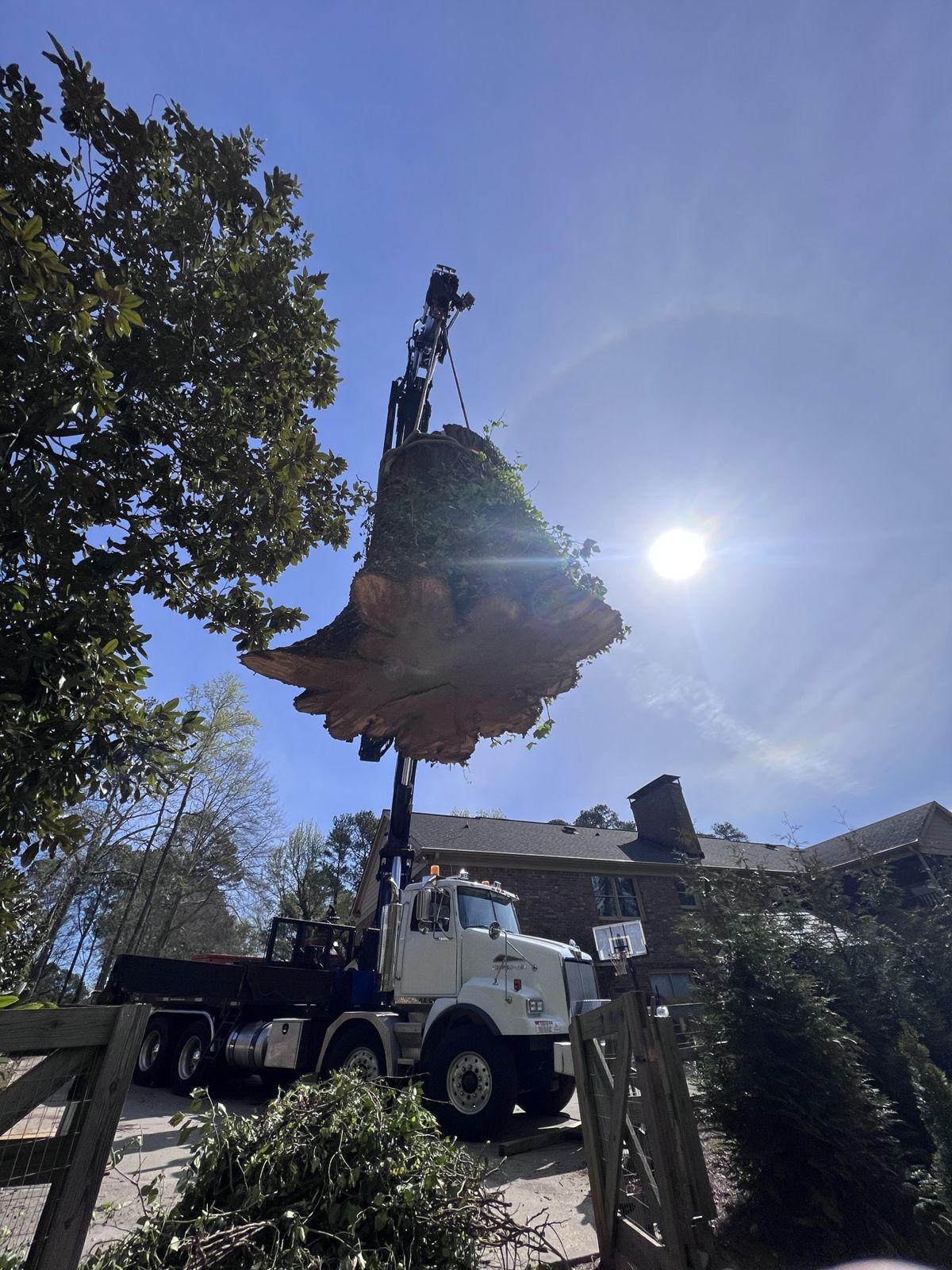 Crane-Assisted Tree Removal by Big South Land & Tree