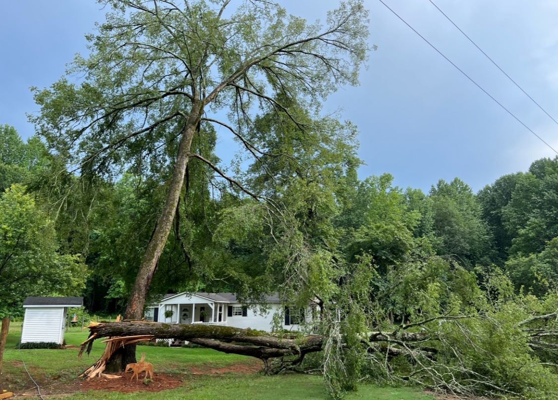 24/7 Emergency Storm Response by Big South Land & Tree