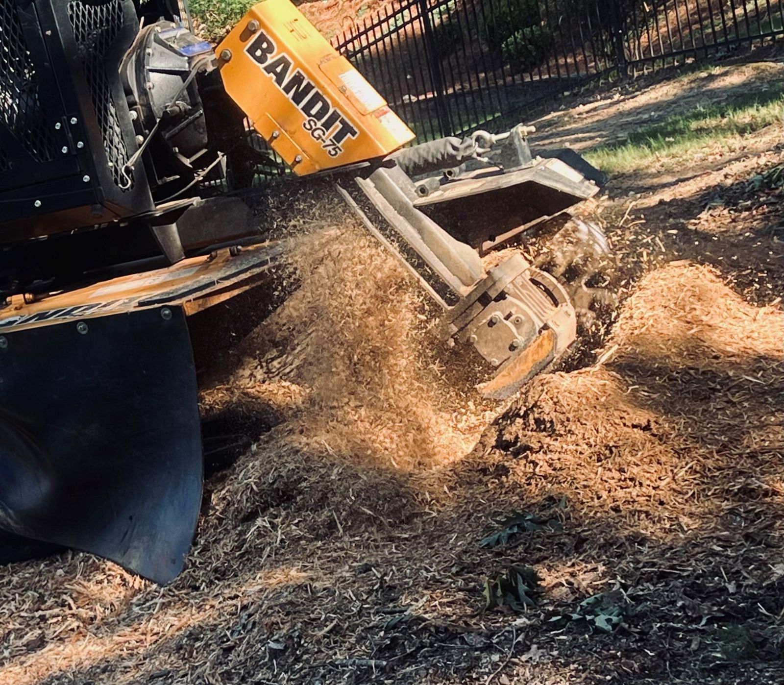Stump Grinding by Big South Land & Tree