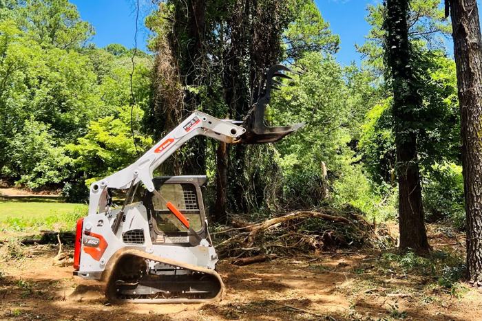 Big South Land & Tree project photo