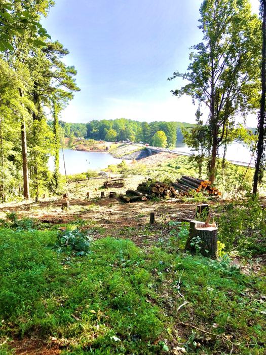 Big South Land & Tree project photo