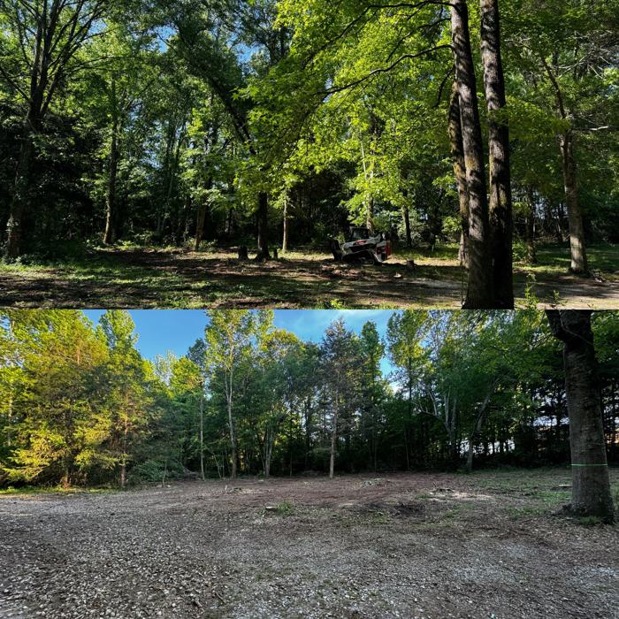 Big South Land & Tree project photo