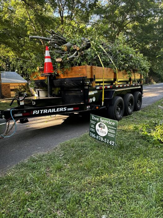 Big South Land & Tree project photo