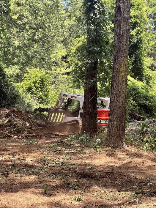 Big South Land & Tree project photo