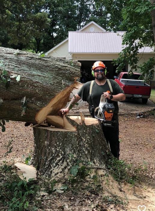 Big South Land & Tree project photo