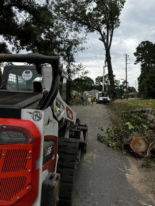 Big South Land & Tree project photo