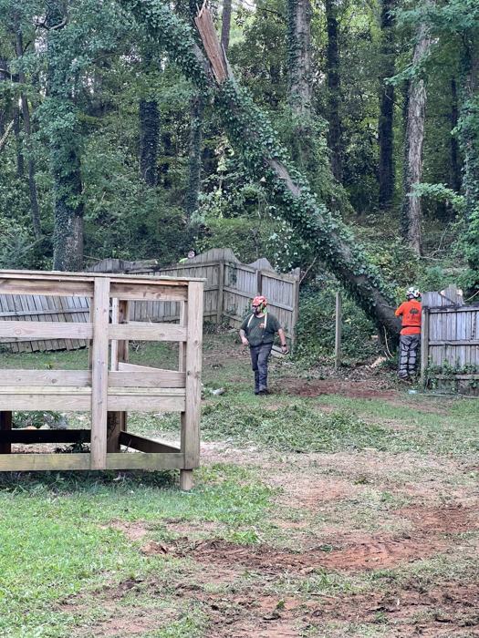 Big South Land & Tree project photo