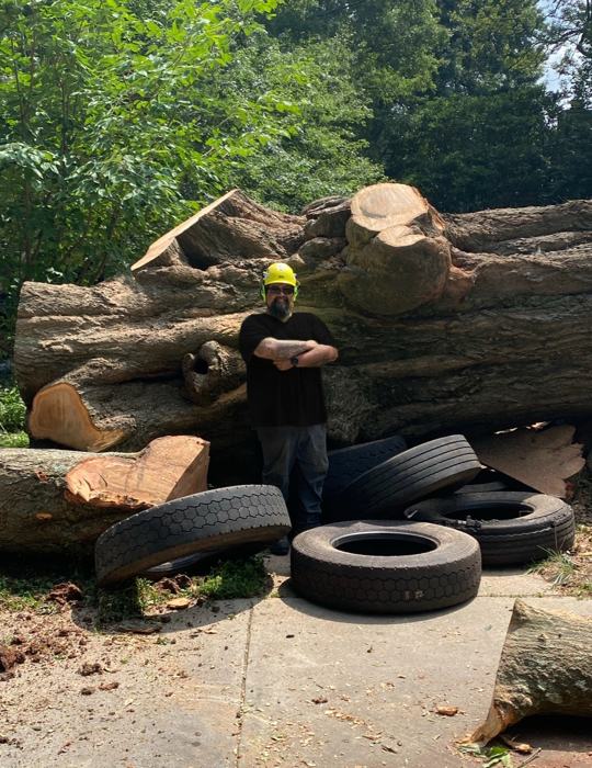 Big South Land & Tree project photo