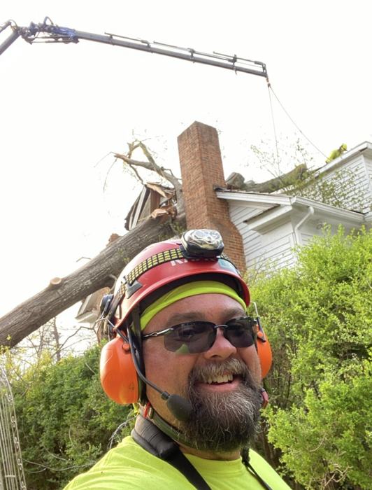Big South Land & Tree project photo
