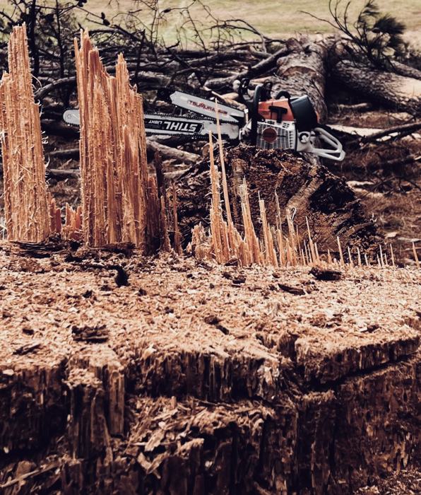 Big South Land & Tree project photo