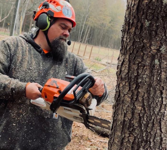 Big South Land & Tree project photo