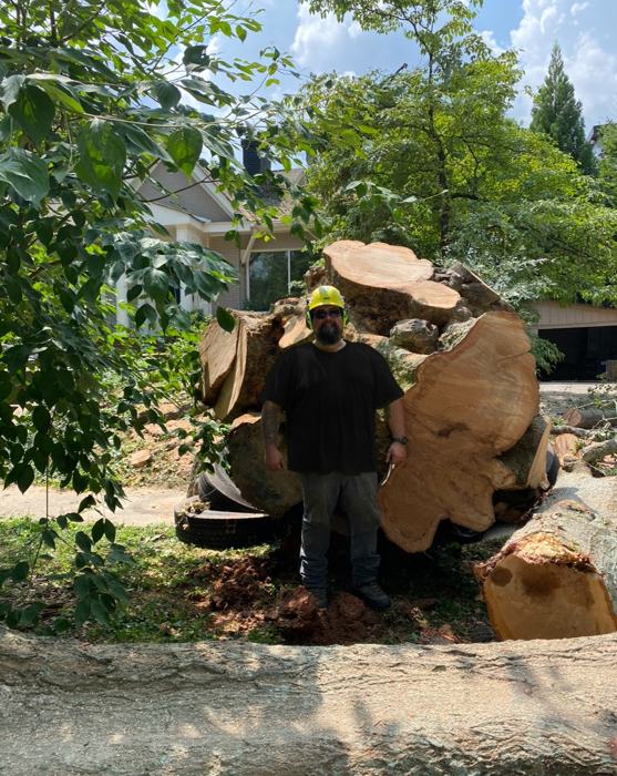 Big South Land & Tree project photo