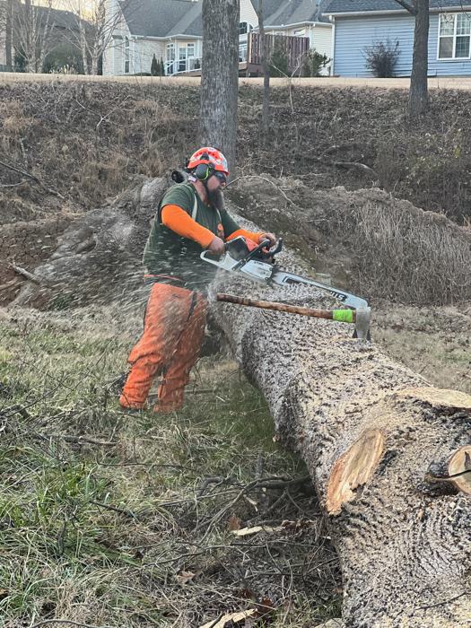 Big South tree service project
