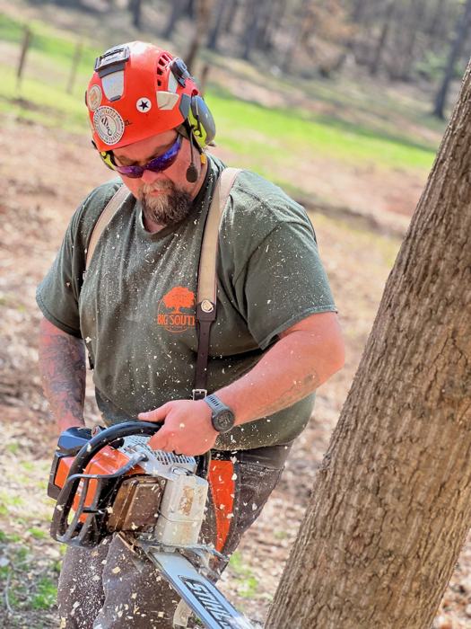 Big South Land & Tree project photo
