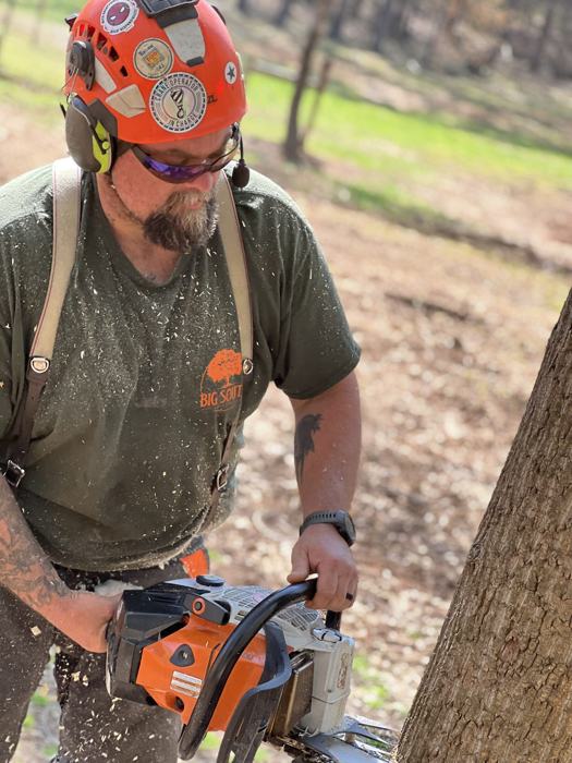 Big South Land & Tree project photo