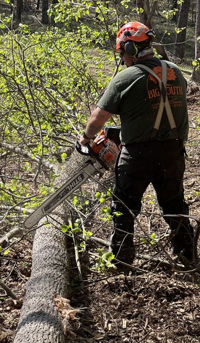 Big South Land & Tree project photo