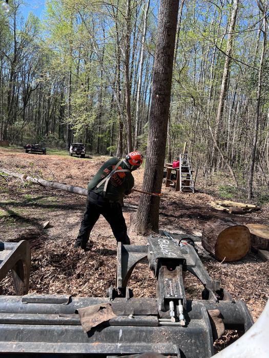 Big South Land & Tree project photo