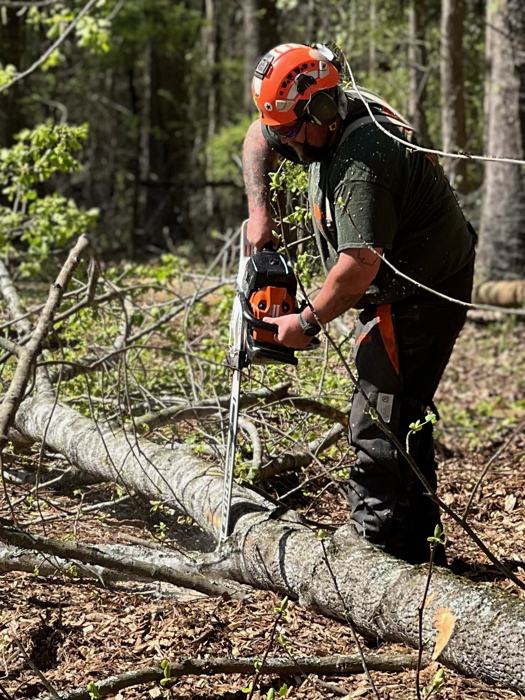 Big South tree service project