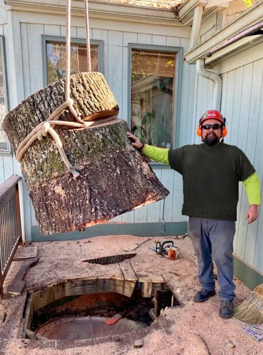 Big South tree service project