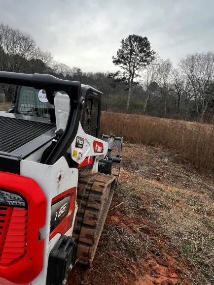 Big South Land & Tree project photo