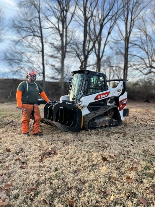 Big South Land & Tree project photo