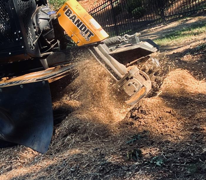 Big South Land & Tree project photo