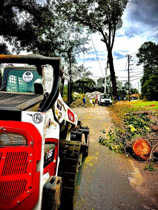 Big South Land & Tree project photo